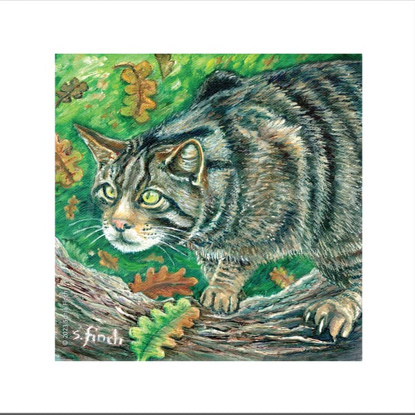 Spirit of Wildcat - Blank Card with Nature Spirit Totem message