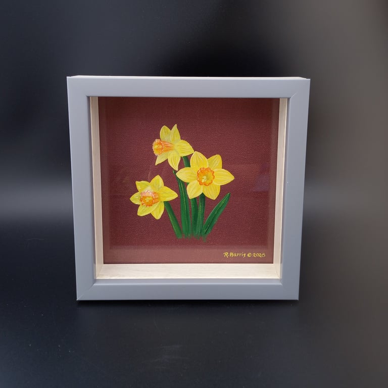 Daffodil Study 5