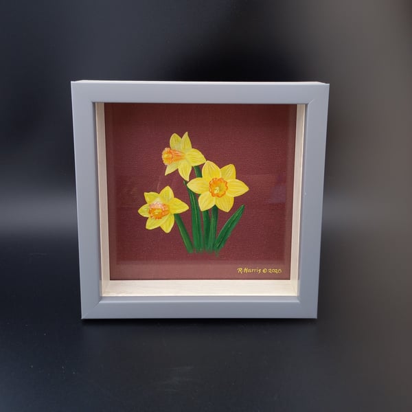 Daffodil Study 5