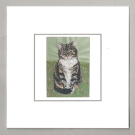 Tabby cat handmade card