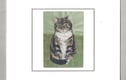 Cat Cards