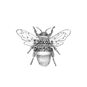 Nickola Candela