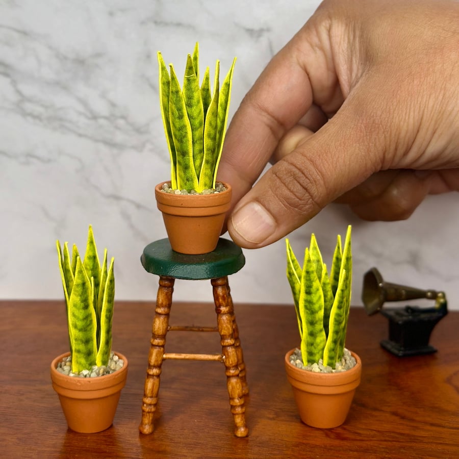 Miniature Snake Plant - Handmade , 1:12 Scale, Dollhouse plant Miniature