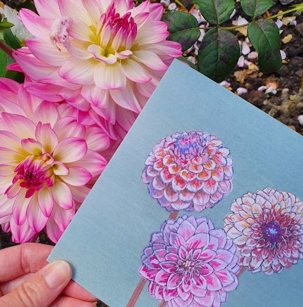 Dahlia card, blank cards, flower card, thinking of you, just to say