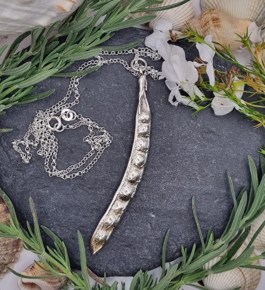Real seed pod preserved in silver pendant necklace
