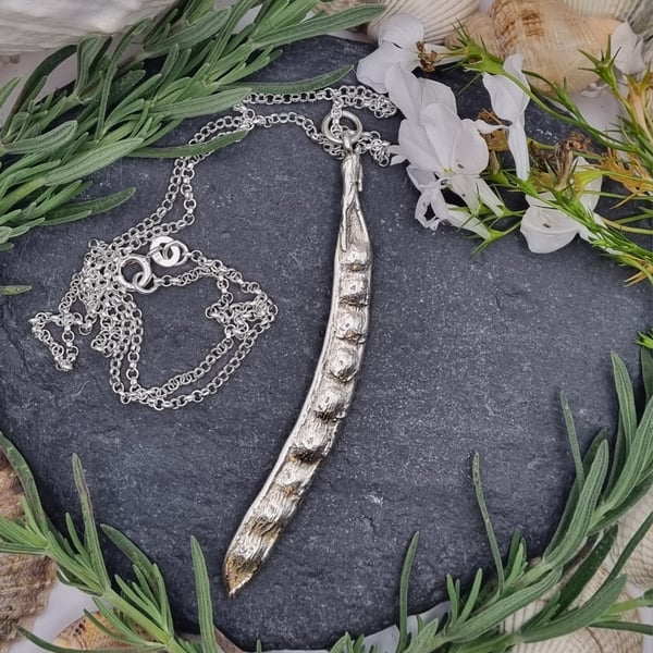 Real seed pod preserved in silver pendant necklace