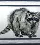 Racoon - Image 3