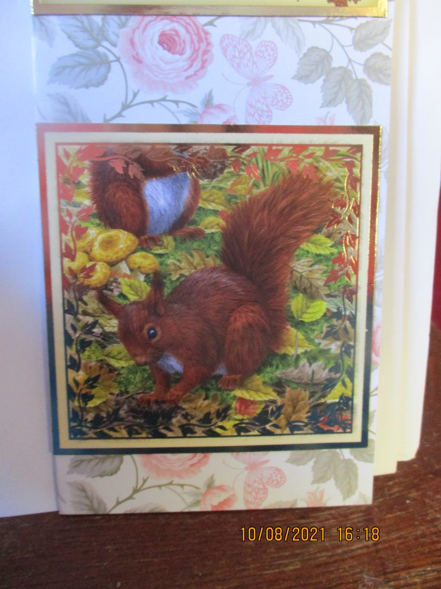 With Love and Best Wishes Squirrel Card
