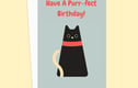 Birthday Cards