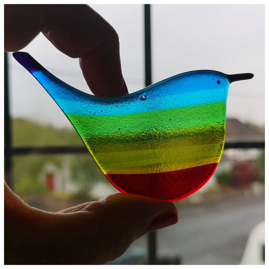  large 'Rainbow Wren of Hope' bird 