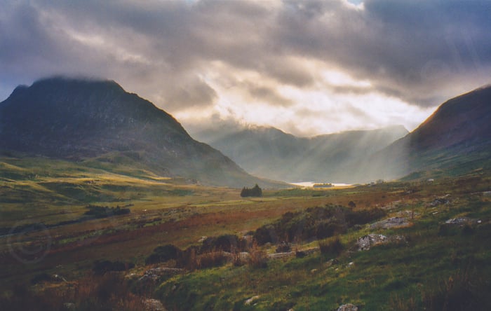 Stephen Tyrrell Photography