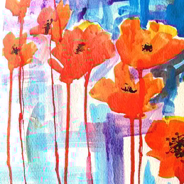 Poppies