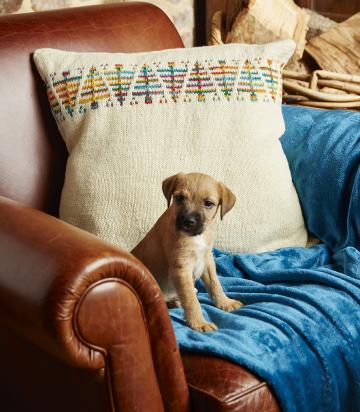 Big Christmas Pillow  knitting pattern