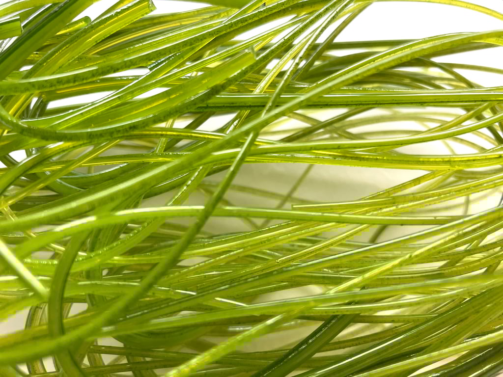 100g Mixed Green Bullseye 90 coe glass Vitrigraph stringers