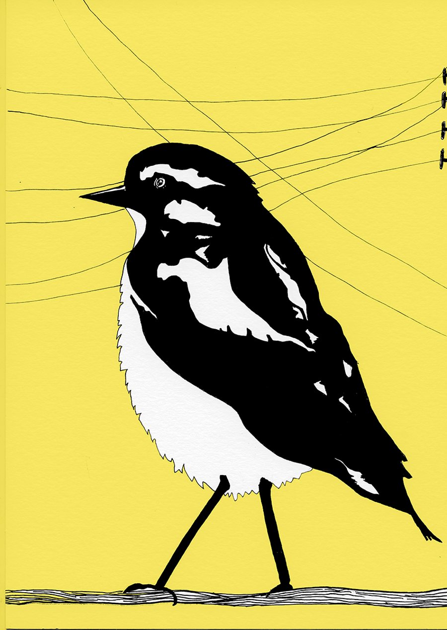 Black and White Line Bird - 