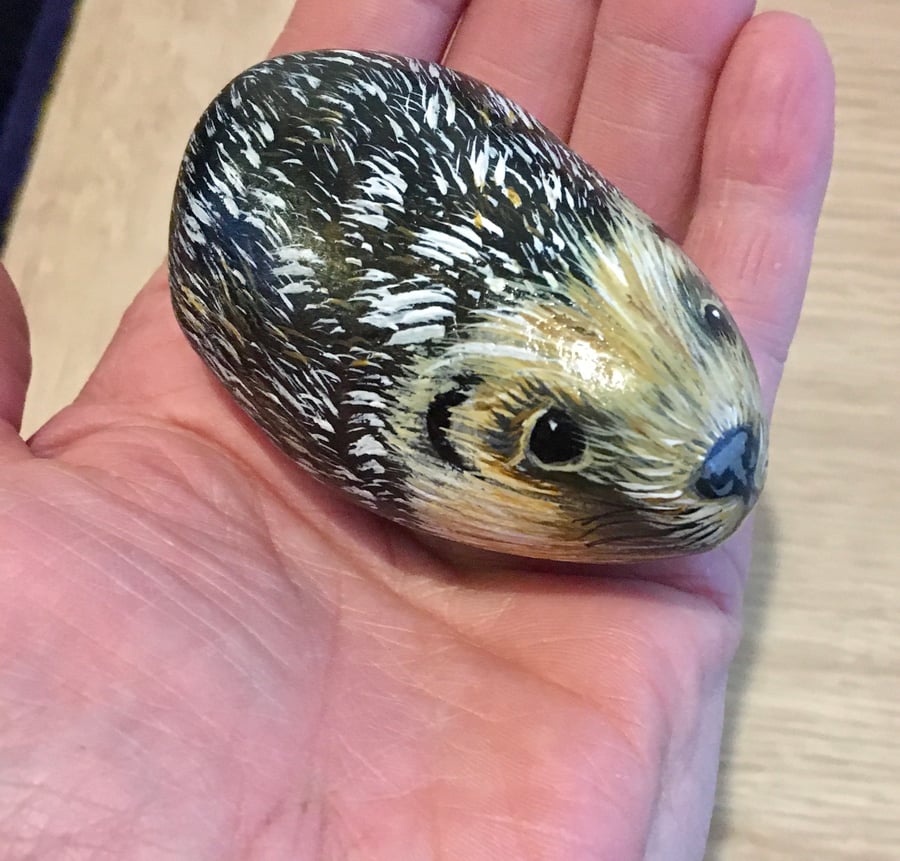 Hedgehog hand painted pebble garden rock wildlife portrait 