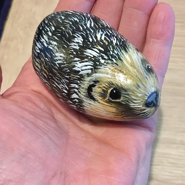 Hedgehog hand painted pebble garden rock wildlife portrait 