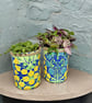 Yellow Blue Botanical Handmade Eco-friendly Indoor Kitchen Herb Gift Set - Image 3