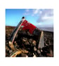 Left To Rot - Image 2