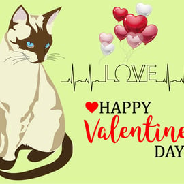 Valentine's Day Card Cat Love Themed A5