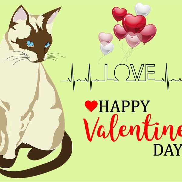 Valentine's Day Card Cat Love Themed A5