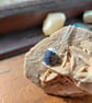 Raw Sapphire Crystal and Sterling Silver Necklace - September Birthstone - Image 1