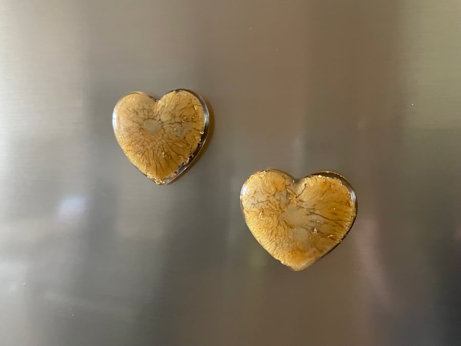 Golden heart magnets