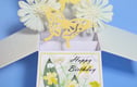 Ladies Birthday Cards