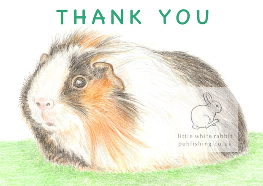 Gus the Guinea Pig - Thank You Card