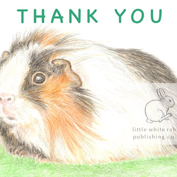 Gus the Guinea Pig - Thank You Card