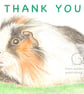 Gus the Guinea Pig - Thank You Card - Image 1