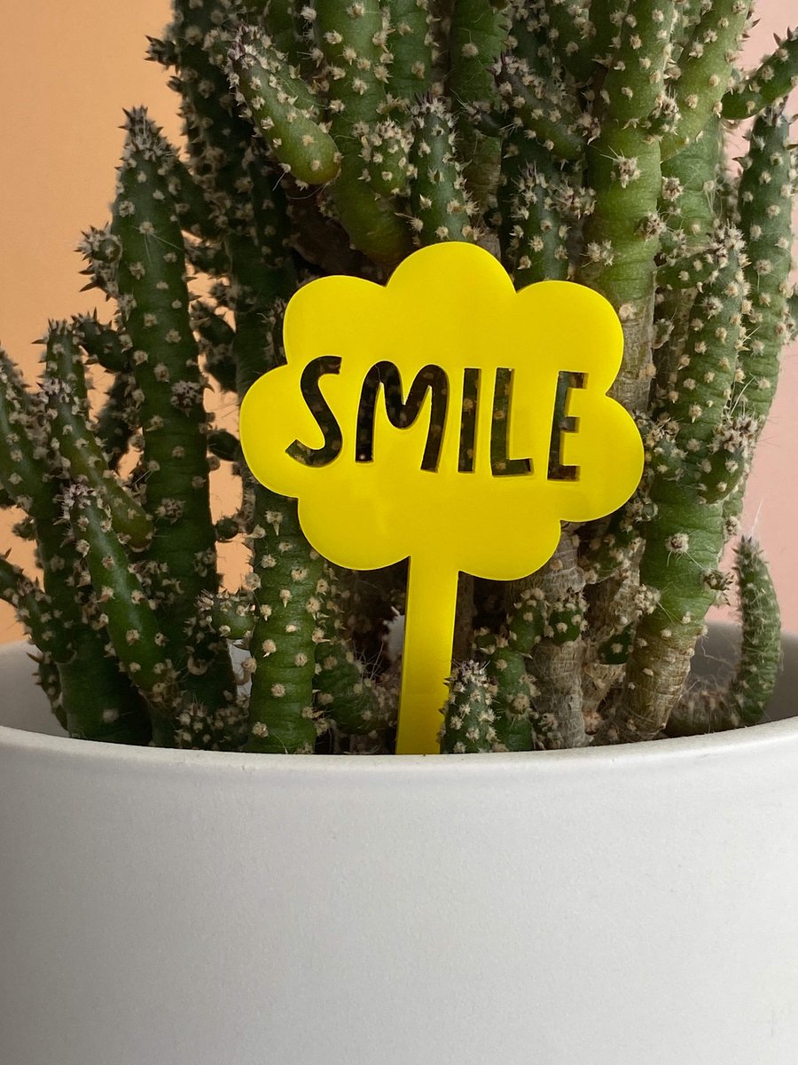 Inspirational plant stake, unique gifts for her houseplant, gardeners gift