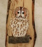 Tawny owl panel - Image 2