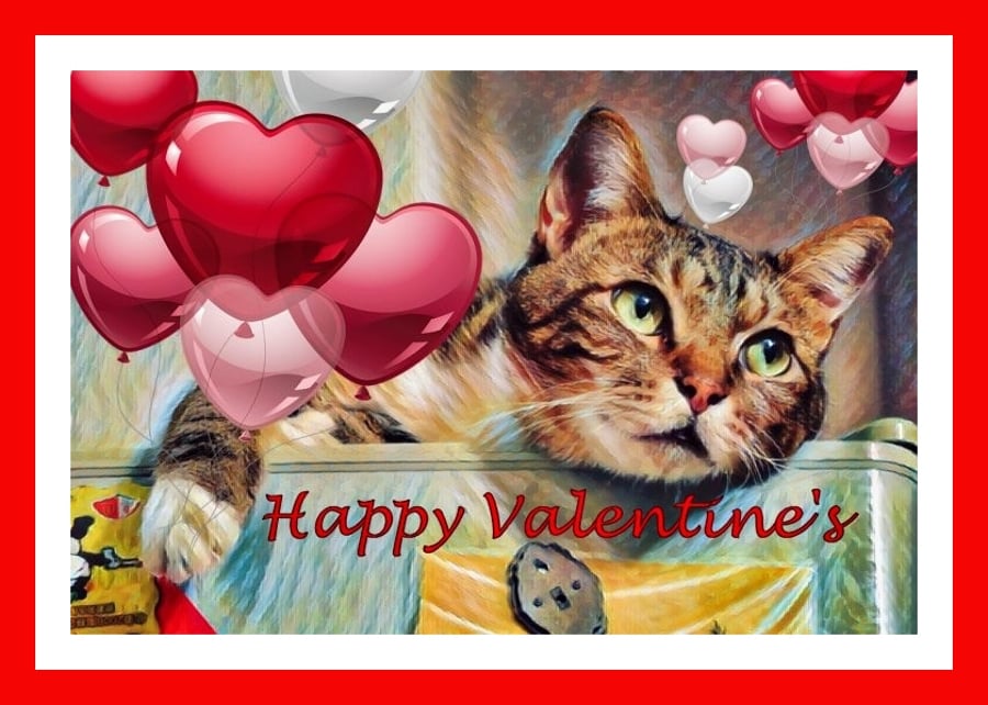 Cat Happy Valentine's Day Card 