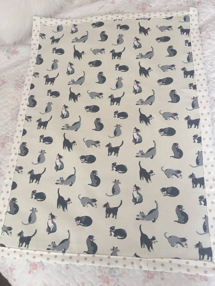 Cat blanket in Cath Kidston fabric and brown fleece back 