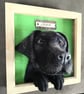 Personalised Pet Portrait - Image 2