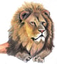 Big Cat Reserve - Art Print & Mount - Image 3