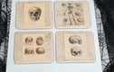 coasters