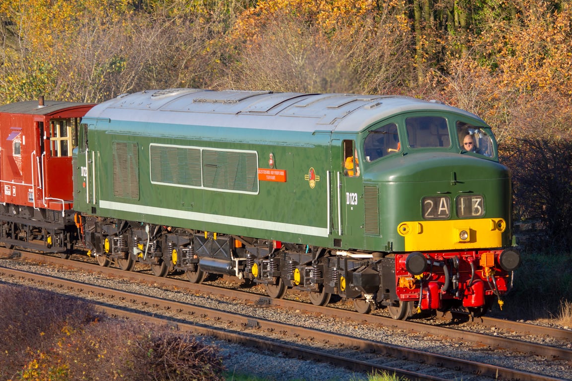 Class 45 Peak D123 print