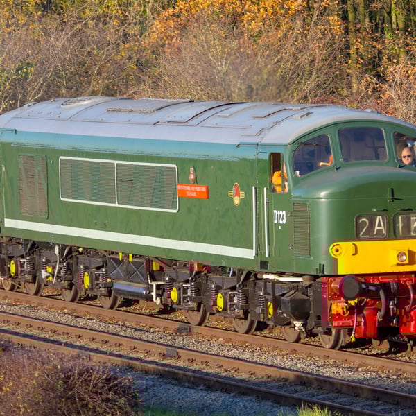 Class 45 Peak D123 print
