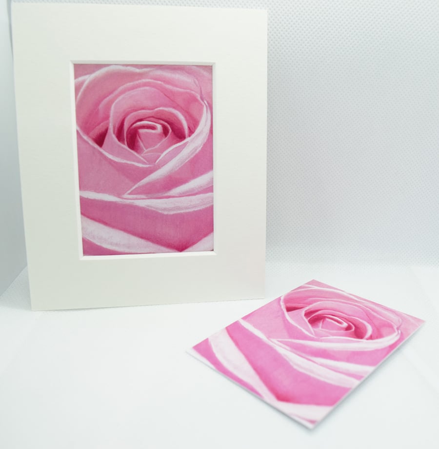 Pink Rose ACEO Giclee Art Print ,Floral ACEO Art Card, Artist Trading Card 
