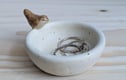 Ring dishes