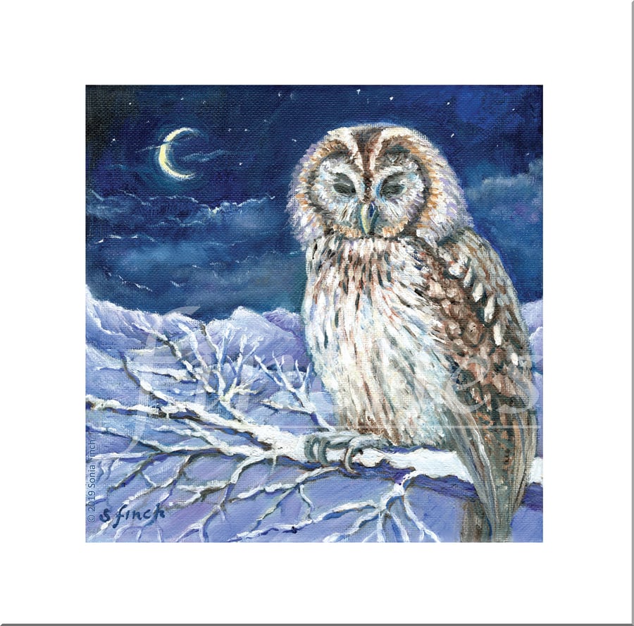 Spirit of Owl - Blank Greeting Card with nature spirit totem message