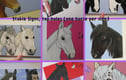 Horses & Unicorns