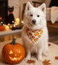 Scrunchie Dog or Cat Bandana - Halloween Pumpkin Over the Head . Pet Scarf