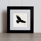 Courting Crow 2, original charcoal pencil drawing of a flying crow, framed.