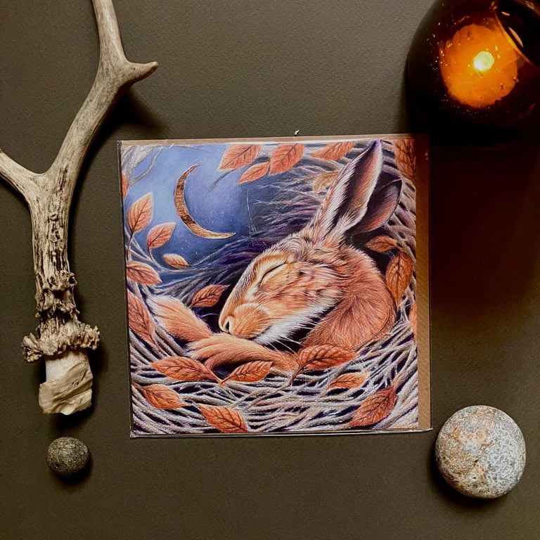 The Midnight Hare Blank Greeting Card