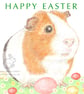 Gilbert the Guinea Pig - Easter Card - Image 1