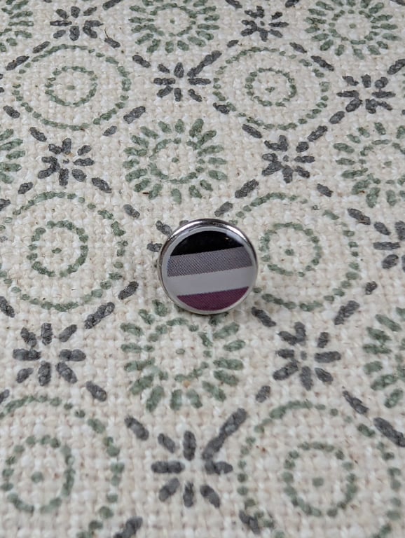 Asexual Flag Pin - Pride Themed Pin - Large Resin Topped Pin Badge - LGBTQ