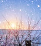 Nordelph Fields Sunrise Norfolk Christmas Greeting Card A5
